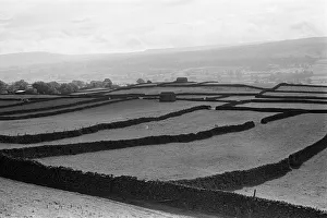 Images Dated 24th October 1982: Yorkshire Dales, North Yorkshire, Sunday 24th October 1982