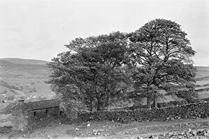 Images Dated 24th October 1982: Yorkshire Dales, North Yorkshire, Sunday 24th October 1982