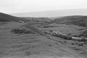 Images Dated 24th October 1982: Yorkshire Dales, North Yorkshire. Sunday 24th October 1982