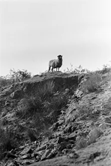 Images Dated 24th October 1982: Yorkshire Dales, Sunday 24th October 1982