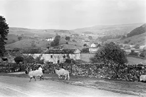 Images Dated 24th October 1982: Yorkshire Dales, Sunday 24th October 1982