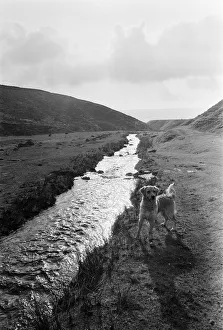 Images Dated 24th October 1982: Yorkshire Dales, Sunday 24th October 1982