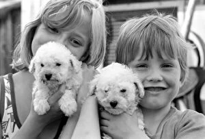 Images Dated 12th August 1977: A young boy and girl with terrier puppiesy at the Frant Kennels in Hildenborough near