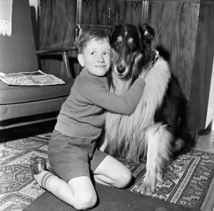 A young boy with his pet dog. 5th December 1961 A young boy with his pet dog. 5th December 1961