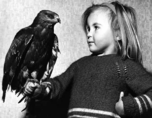 00137 Gallery: A young child holding a young Honey Buzzard found with damaged wing and tail feathers