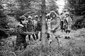 Young children collecting a Christmas tree. Teesside, December 1985 Young children collecting a Christmas tree. Teesside, December 1985