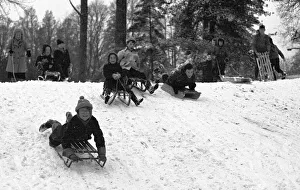 00192 Gallery: Young children make the most of a cold snap by going sledging at The Grove