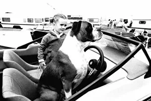 Images Dated 18th July 1980: A young girl and her dog try out a speedboat at the Whitley Bay Motor Show. 18 / 07 / 80