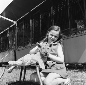 Young girl is a lion tamer, Teesside, Circa 1972 Young girl is a lion tamer, Teesside, Circa 1972