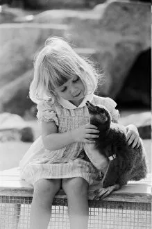Images Dated 4th September 1981: Young Kirsten Ogilvie with a baby penguin at the Cotswold WildLife Park in Oxfordshire