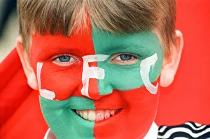 Young Liverpool fan with his face painted in team colours Young Liverpool fan with his face painted in team colours
