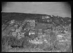 West Looe from Downs View Print, Box 4, Raddy Collection