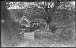 Thatched Cottage Print near Looe, Cornwall