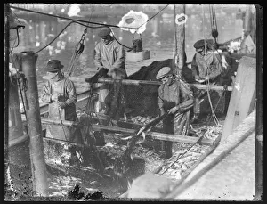 Fishermen sorting their catch onboard boat, East looe Quay Fishermen sorting their catch onboard boat, East looe Quay