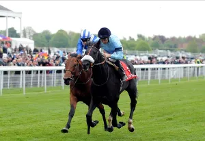 Bonfire Ahead Of Ektihaam Ridden By Jimmy Fortune Wins The Dante Festival, York Racecourse York Racecourse, York, England 17 May 2012 BETFRED DANTE STAKES DANTE FESTIVAL, YORK RACECOURSE 17/05/2012 Date: 17 May 2012 Bonfire Ahead Of Ektihaam