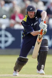 Anthony McGrath Print, Cricket at The Riverside