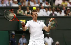 Andy Murray Print - Wimbledon 2010