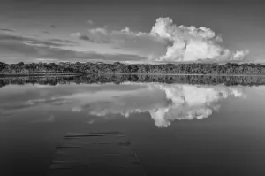 Amazon Rainbow Print - Napo Wildlife Center Lake Scene