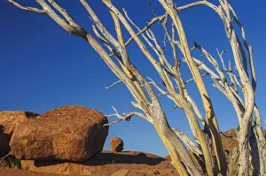 What's New: Namibia Collection