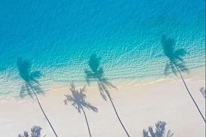 Images Dated 5th August 2019: Aerial beach, beautiful coastline. Palm trees and amazing sea lagoon. Turquoise water