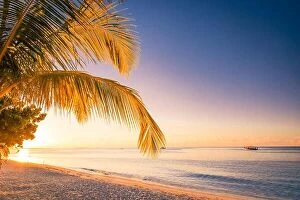 Images Dated 21st December 2015: Beautiful sunset on the beach, palm leaves and calm sea view. Tranquil exotic landscape