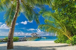 Images Dated 20th December 2015: Beautiful tropical Maldives island with beach sea coconut palm tree on blue sky nature holiday