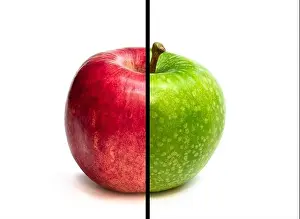 Green Apple vs Red Apple Print