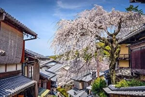 Images Dated 1st April 2014: Kyoto, Japan at the Higashiyama district in the springtime