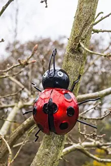 Prints of A ladybird sculpture on a tree in Epping forest, South Woodford, London, England Abstract Art Prints: Ladybird sculpture print on a tree trunk in Epping Forest, London