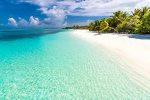 Tropical Beach Landscape Print