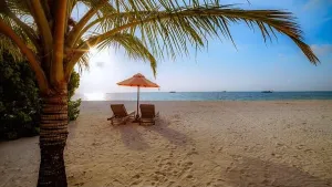 Tropical Sunset Print: Palm Tree, White Sand, and Horizon