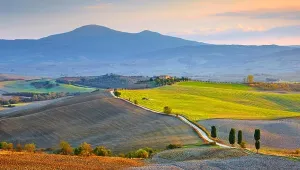 Cypress Trees Print, Val dOrcia Landscape