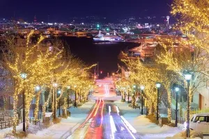 Hakodate Nighttime Print