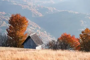 Autumn Carpathian Mountains Print