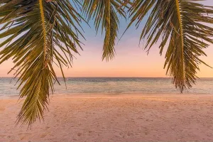 Tropical Sunset Beach Print