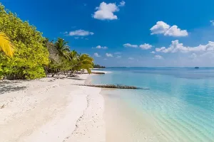 Tropical Beach Landscape Print