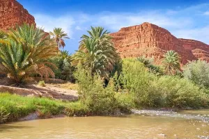 Ziz Gorges Landscape Print