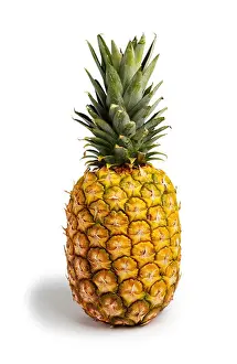 Pineapple Print - Fresh Fruit on a White Background