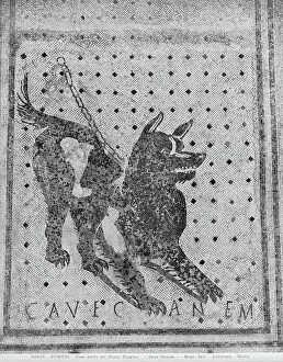 Images Dated 5th August 2011: Cave Canem, House of the Tragic Poet, Pompeii