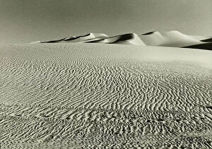 Related Images Collection: Dune in the Tener desert, in Niger, Africa
