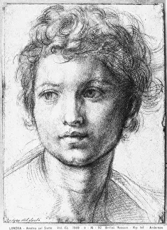 face-woman-drawing-andrea-del-