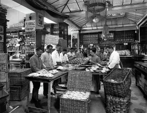 Prints of Workers for school meals for the town of Florence: the preparation of sandwiches in a grocery store Florence. Date of Photograph:23/06/1913 Florence Prints: Workers for school meals for the town of Florence: the preparation of sandwiches in a grocery store
