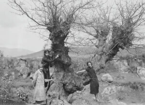 Images Dated 18th September 2012: Group portrait in front of a tree, Italy