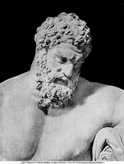 Head of the Farnese Hercules, detail. Art Prints, Posters