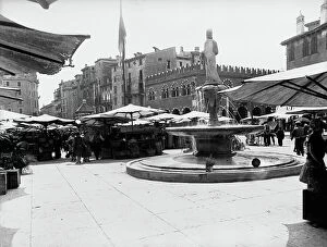 Images Dated 19th June 2009: The market in Piazza delle Erbe, Verona
