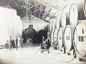 Images Dated 27th June 2012: Men at work in the cellar of the farm Gambina Vini, Marsala