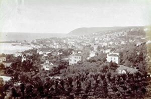 San Remo Collection: Panorama of the city of San Remo, with dense vegetation in the foreground