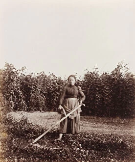 Images Dated 27th June 2012: Portrait of a woman with a scythe in her hand; the support contains the indication 'Luigia Borello'