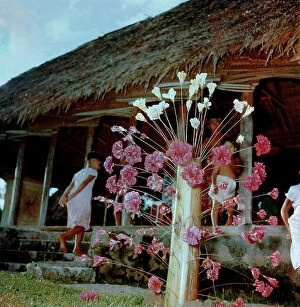 Images Dated 20th January 2012: Samoa Island. Floral decoration of Apia (collective house)
