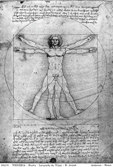 Images Dated 28th September 2005: Schematic of the proportions of the human body. Study by Leonardo preserved in the Galleries of